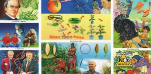 Alimentos Transgénicos y Orgánicos: Diferencias, Biotecnología y Producción | Lámina Educativa de Ciencias Naturales