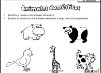 Fichas de Animales Domésticos para Kinder (Actividades Imprimibles de Ciencia y Ambiente)