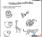 Ficha de Animales Salvajes para Kinder (Actividad Imprimible de Ciencia y Ambiente)