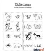 Clasificación de los Animales: Vertebrados e Invertebrados (Actividad Imprimible para Kinder)
