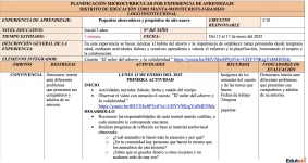 Planificación microcurricular Inicial 3 años – Semana 36: Pequeños ahorradores y propósitos de año