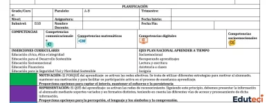 Planificación Educación Física 7mo Grado - 3er Trimestre (DUA y ERCA) | Archivo Docente