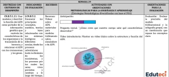 Planificación Biología 2do BGU - 1er Trimestre (DUA y NEE) | Archivo Docente