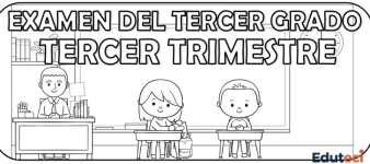 Examen Integrador 3er Trimestre (Adaptable a Diagnóstico 7mo EGB) | Archivo Docente
