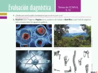 Evaluación Diagnóstica de Ciencias Naturales (Con Respuestas Explicadas) | Archivo Docente