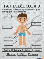 Ficha Didáctica: Ubicar las Partes del Cuerpo Humano | Material Eduteci